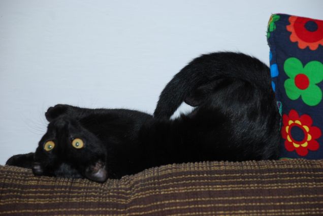 Il mondo visto alla rovescia